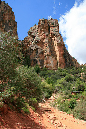 In the Grand Canyon