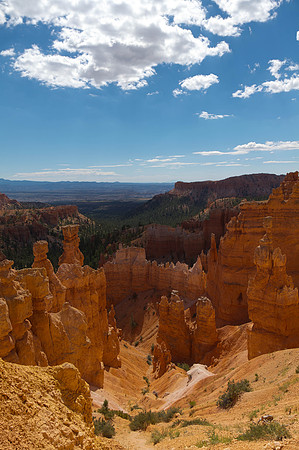 Summer Day, Bryce Canyon National Park
