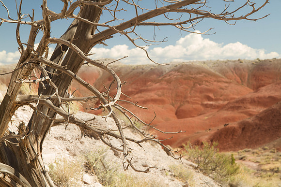 Painted Desert