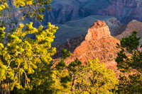 20110803-Grand Canyon-1913
