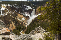 20110525_Yellowstone_IMG_1020