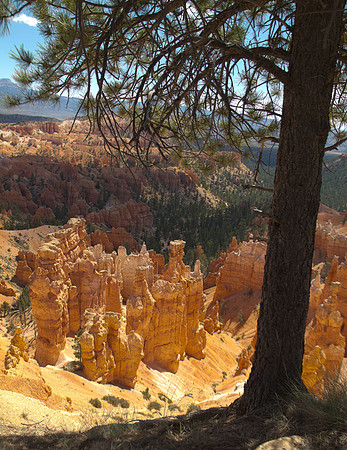 Hoodoos