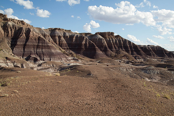 Desertscape
