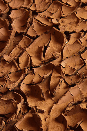 Mud Flats